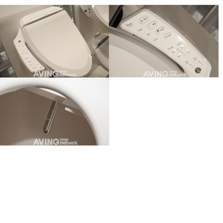 Inus Uspa DSB-5420 Toilet Bidet Toilet Seat 220v 2 Nozzle, Continuous