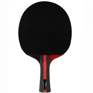 Champion XIOM M 2.4 S Ping Pong Racket table Tennis Shake Hand Defensive Type