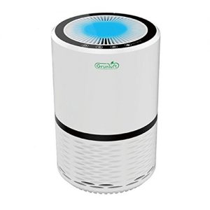 [Gruenluft] Air Purifier Air Cleaner 220V + Extra H13 Level HEPA Filter 1 ea For Single Room