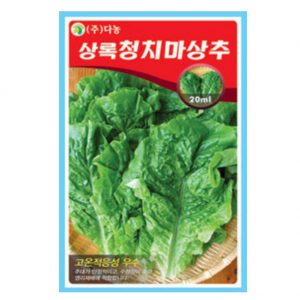 Danong Seeds Green Lettuce Seed 3g 1Pack & Radish Seed 1Pack Home Garden Vegetable