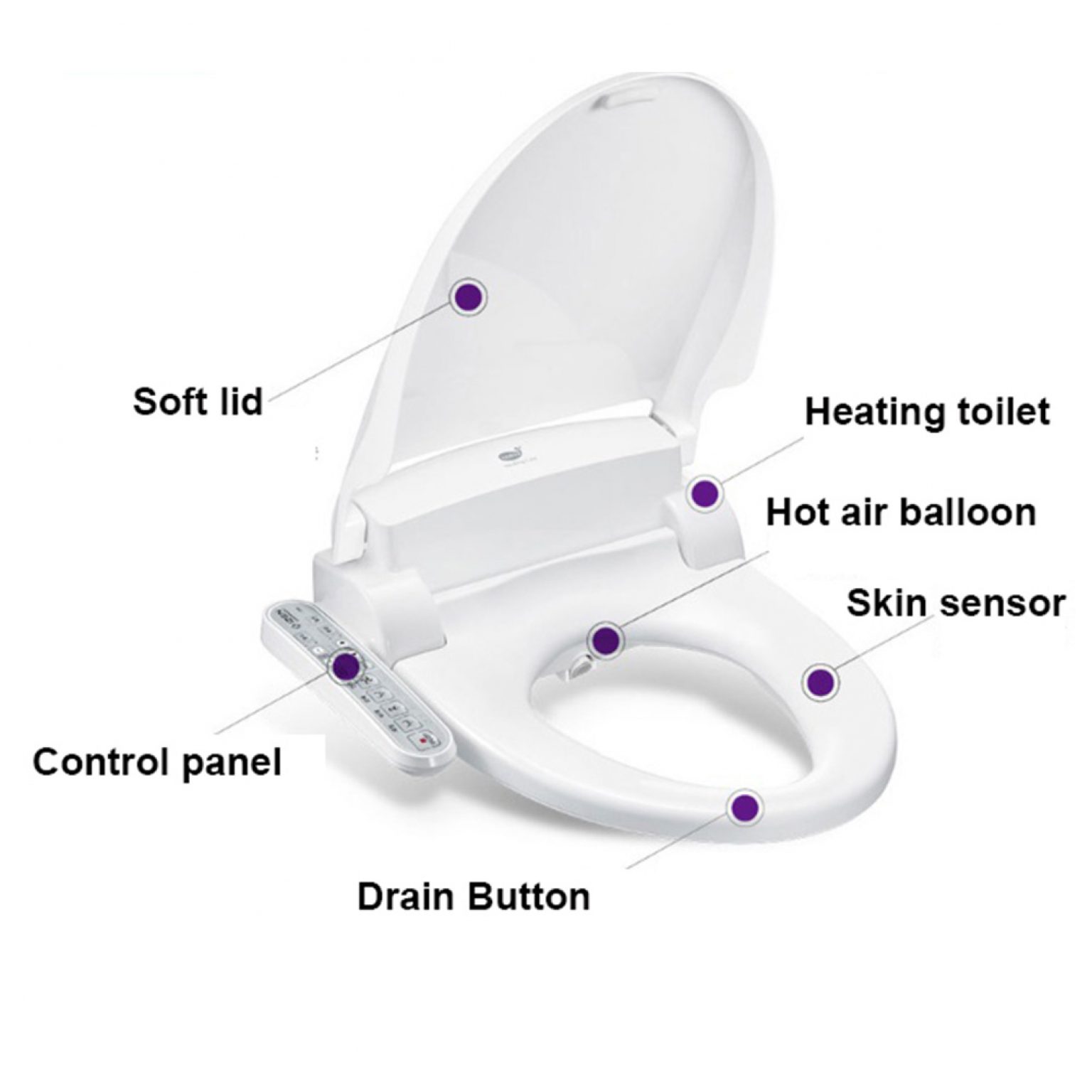 IZEN IB-781N Digital Toilet Bidet Toilet Seat Warm Water, Stainless ...