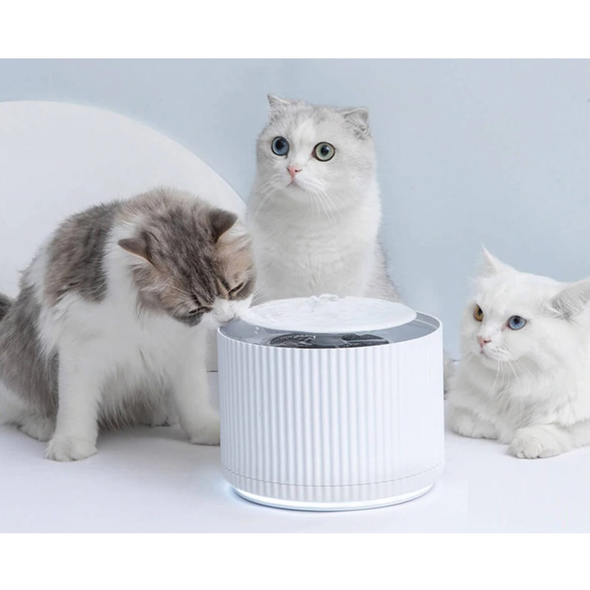 Xiaomi kitten puppy pet water dispenser обзор