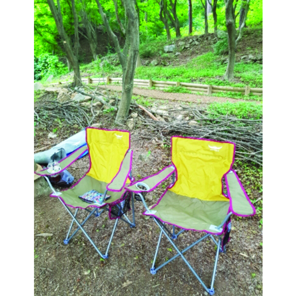 BUFFALO Heavy Duty Folding Camping Chairs, Lawn Chair (2P) Fishing Chair –  Korea E Market