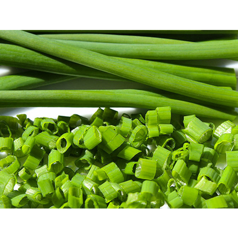 Chopped Dried Green Onions 300g 10 6oz Green Chives All Natural Non 