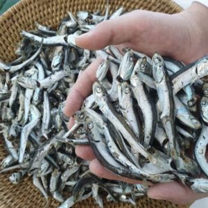 Dried Anchovy for Broth Rich In Calcium 鳀鱼干 汤底料 다시멸치 Large Size,Dashi Anchovy 53oz(1.5kg)
