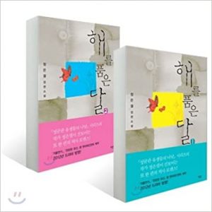 The Moon Embracing the Sun Original NOVEL BOOK: *KOREAN Translation VERSION* vol 1+2 set[002kr] Hardcover – January 1, 2011