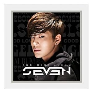 MINI ALBUM(PHOTO BOOKELT + YG FAMILY CARD) SE7EN