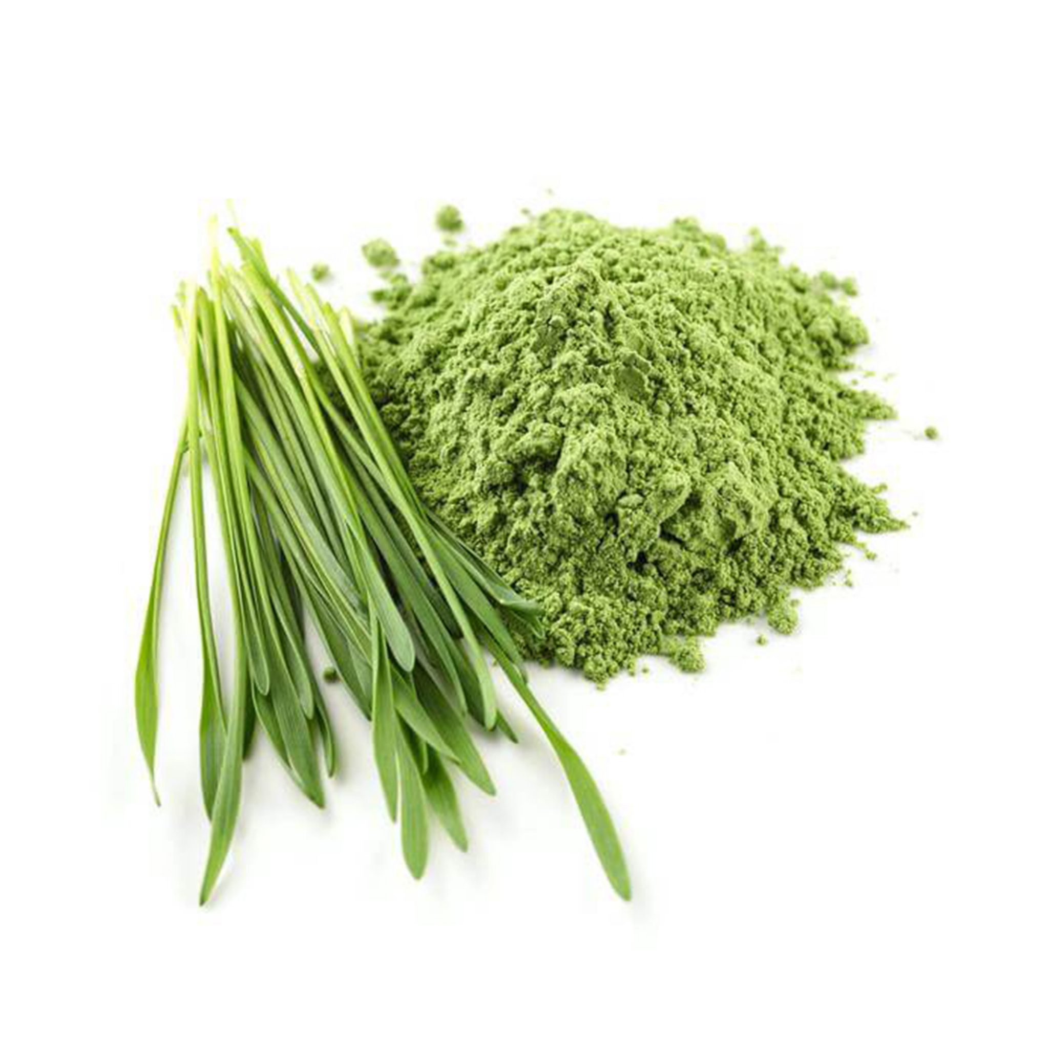 barley-grass-juice-powder-terrasoul-superfoods